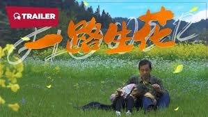 一路生花(全集)