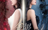 金银双姝(全集)
