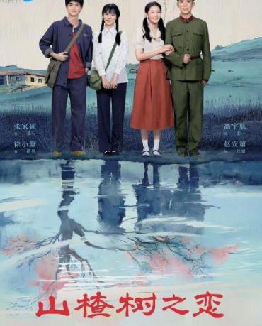 山楂树之恋2025(全集)