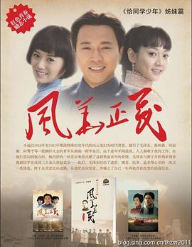 风华正茂(全集)